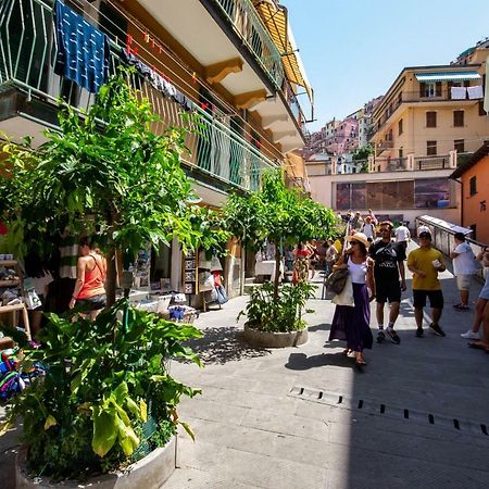 Apartament Ca' De Carlin Manarola Zewnętrze zdjęcie