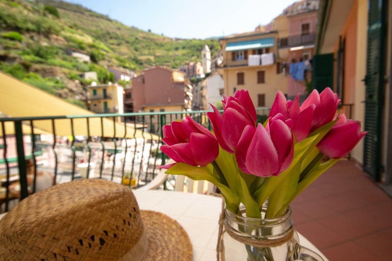 Apartament Ca' De Carlin Manarola Zewnętrze zdjęcie